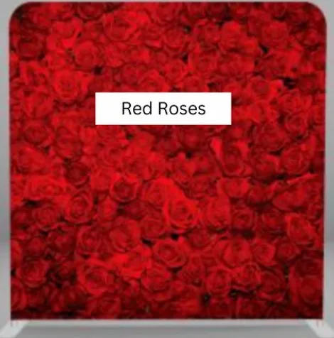 Red Roses photo booth backdrop Virginia Beach